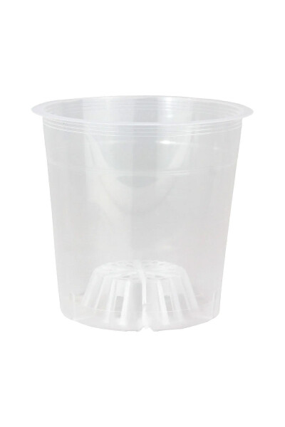 Orchid Growing Pot 12 Pack 0.75lt Clear Plastic Pot - 7