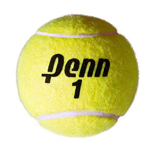 Penn Şampiyonluk Tenis Topları - Ek Görev Keçe Basınçlı Tenis Topları - 5