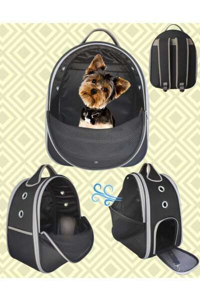 Pet Mesh Backpack Carrier Paris Black - 1