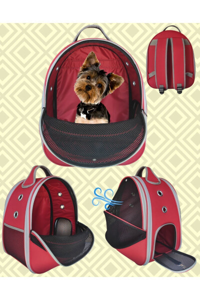 Pet Mesh Backpack Carrier Paris Red - 1