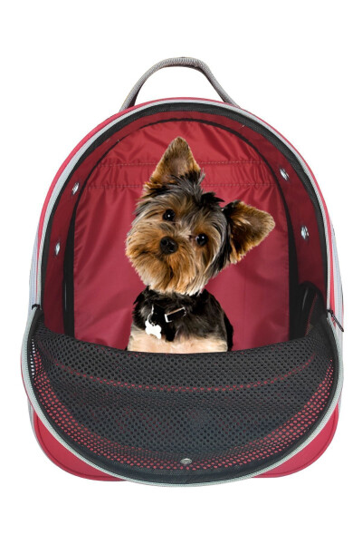 Pet Mesh Backpack Carrier Paris Red - 6