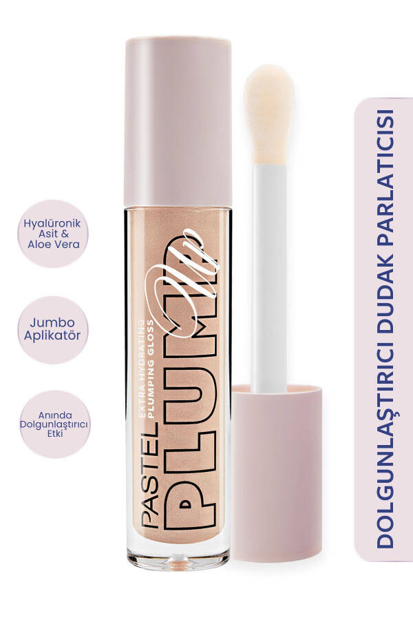 Plump Up Extra Hydrating Plumping Gloss - 201 Royal - 1