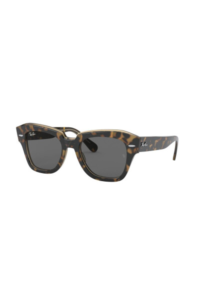 Rb 2186 1292b1 49 Unisex Sunglasses - 11