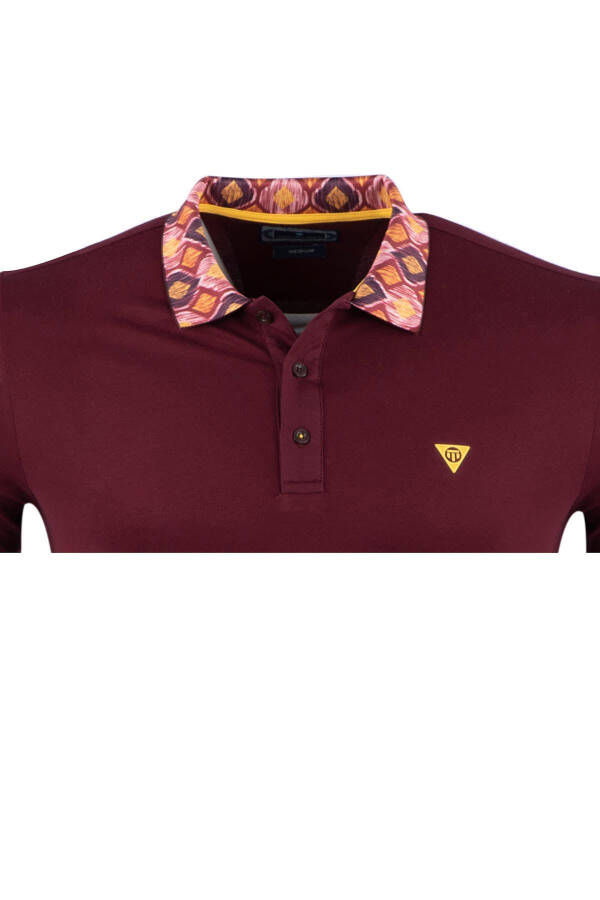 Regular Fit Polo Collar Printed T-shirt - 2