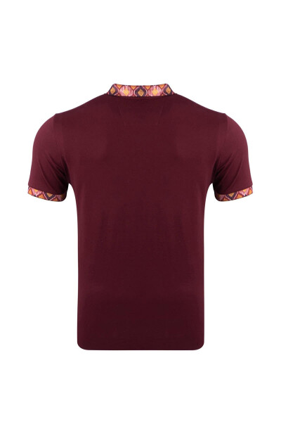 Regular Fit Polo Collar Printed T-shirt - 3