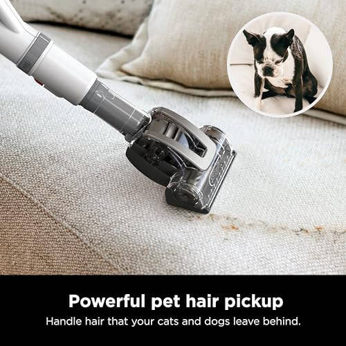 Shark NV356E Navigator Lift-Away Professional Upright Vacuum with Swivel Steering, HEPA Filter, XL Dust Cup, Pet Power, Dusting Brush, and Crevice Tool, Perfect for Pet Hair, White/Silver - 6