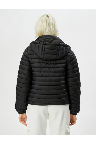 Short Puffer Jacket with Hood, Zipper and Elastic Sleeves - 12