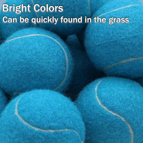 SHYUJAJIE Tennis Balls, 6 Pack Training Tennis Balls, High Elasticity Practice Tennis Balls for Beginner, Exercise Playing Balls for Pet Dog - 4