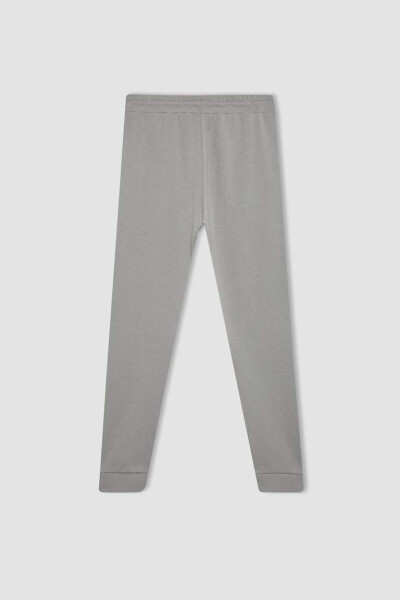 Slim Fit Jogger Pants Grey - 9