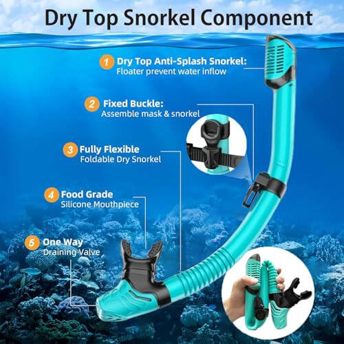 Snorkel Mask Adult,Dry Snorkel Set,Snorkeling Gear for Adults,Panoramic Wide View Swim Mask,Snorkel for Lap Swimming Snorkeling Diving Swimming Travel - 5