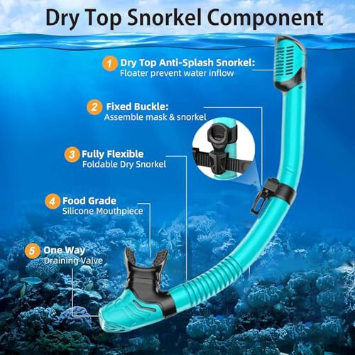 Snorkel Mask Adult,Dry Snorkel Set,Snorkeling Gear for Adults,Panoramic Wide View Swim Mask,Snorkel for Lap Swimming Snorkeling Diving Swimming Travel - 6