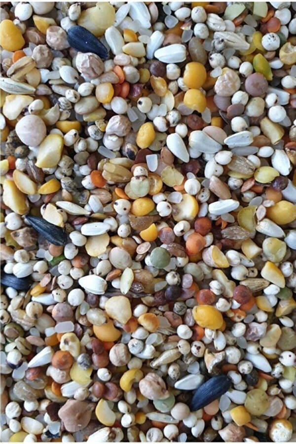 Special Mixed Pigeon Feed 5 Kg - 3