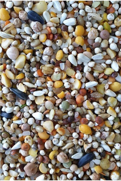 Special Mixed Pigeon Feed 5 Kg - 2