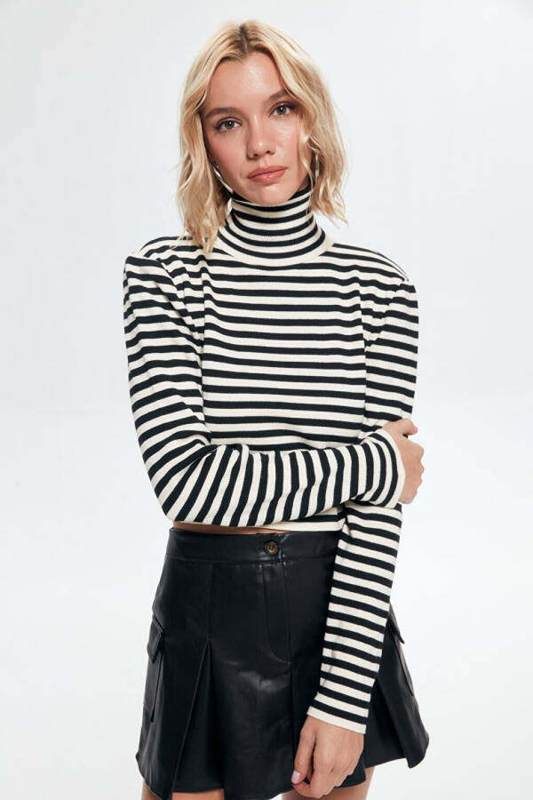 Striped Turtleneck Sweater Ecru-Black - 1