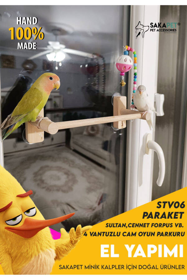 Suction Cup Glass Play Park 4 Suction Cups Paradise Forpus Parakeet - 3