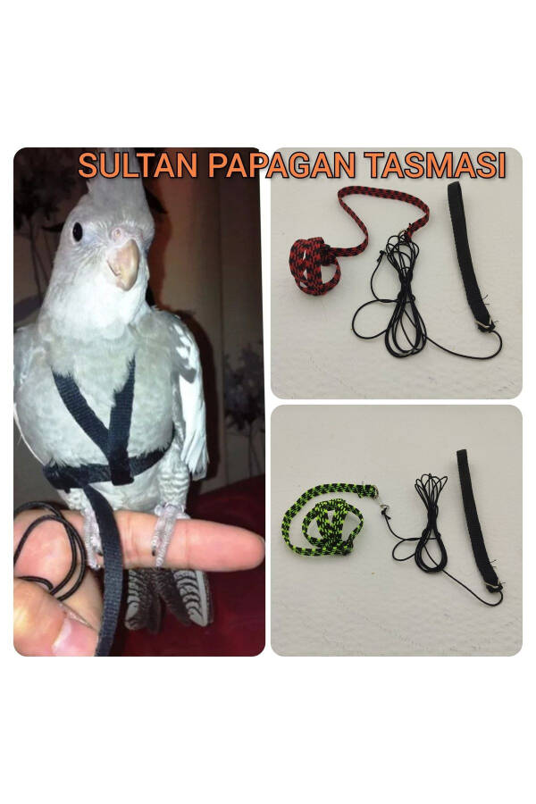 Sultan Parrot Leash - 1