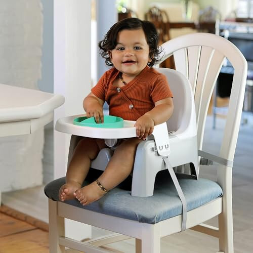 Summer Infant Deluxe Öğrenme Yemek Sandalyesi - Bebek ve Bebek Yemek Sandalyeleri ve Takviye Koltuğu Tepsi ve 2 Tıklamalı Tabaklı - 10