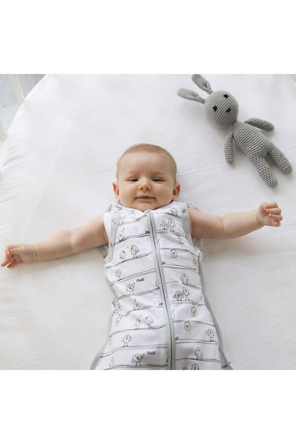 Swaddle / Sleep Sack Early Birds - 2