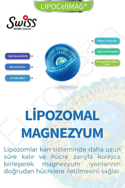 SWISS Magnesium Vitamin Mag 5x Liposomal Magnesium 30 Vegan Capsules - 2