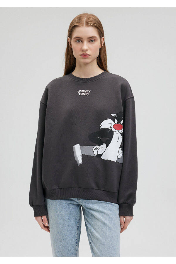 Sylvester Printed Grey Sweatshirt 1S10107-84671 - 17