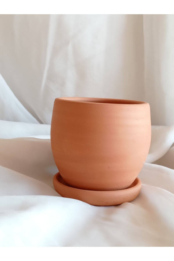 Terracotta Pot, Cactus Pot - 1