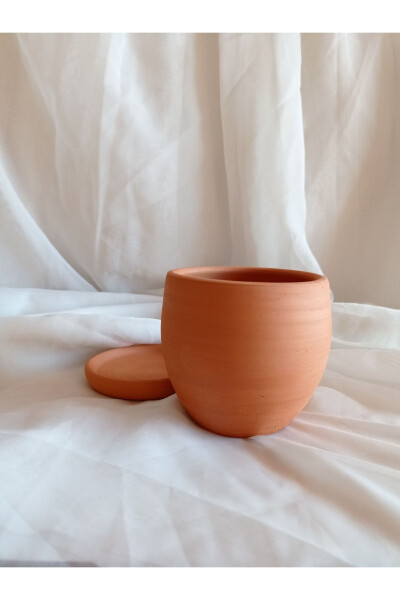 Terracotta Pot, Cactus Pot - 3