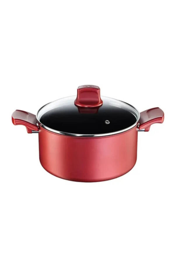 Titanium Character 24 cm Non-Stick Deep Pot with Thermo-Spot Technology Black - 2