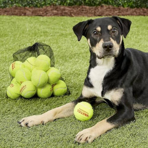 Tourna Mesh Carry Bag of 18 Tennis Balls - 5