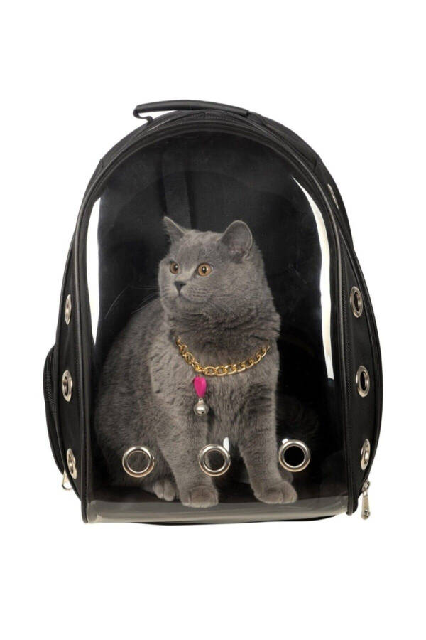 Transparent Shatterproof Glass 15 Air Channels Pet Carrier Backpack for Cats, Dogs and Birds - 5