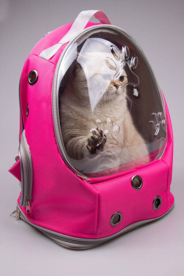 UFO Astronaut Cat Carrier - 7 Air Channels Paw Pattern 47x40x35cm (15kg) - 7