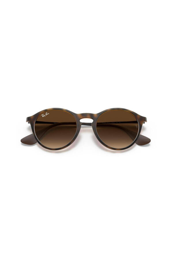 Unisex Sunglasses RB4243 865/13 49 - 6