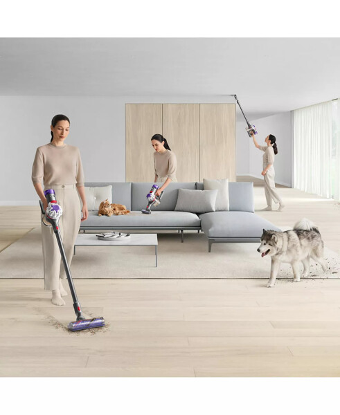 V8 Cordless Vacuum Silver/nickel - 12