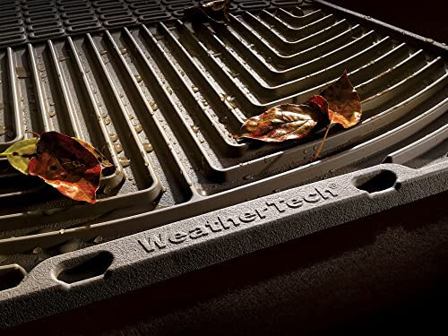 WeatherTech All-Weather Floor Mats for Land Cruiser, LX - Full Set (W23TNW25TNW60TN), Tan - 3