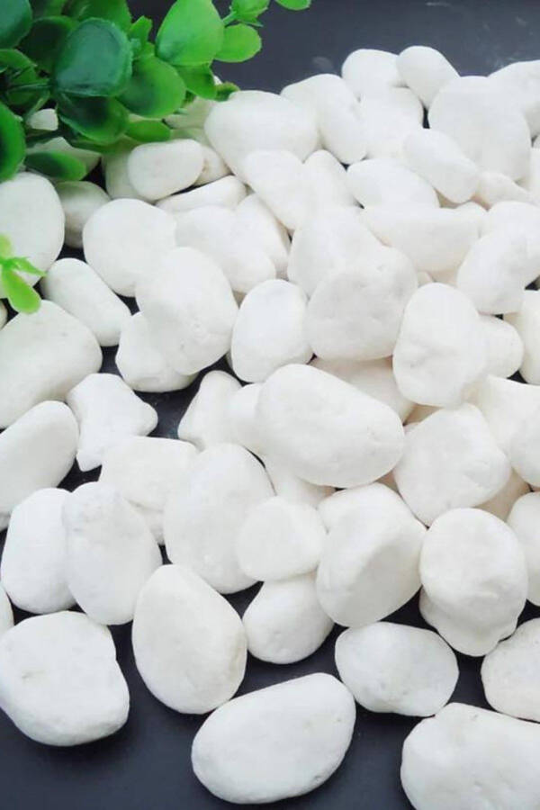 White Dolomite Stone 2 Kg 1.5-2.5 Cm River Gravel Stone Garden Decorative Stone Pot Terrarium Stone - 1