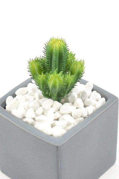 White Dolomite Stone 2 Kg 1.5-2.5 Cm River Gravel Stone Garden Decorative Stone Pot Terrarium Stone - 2