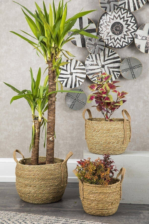 Wicker Basket 3 Size Luxury Organizer, Planter Basket, Decorative Basket, Home Decor - 1