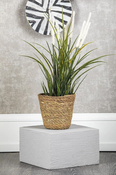 Wicker Plant Basket - 1