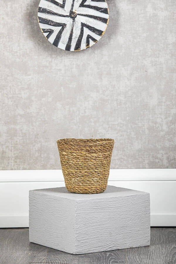 Wicker Plant Basket - 2