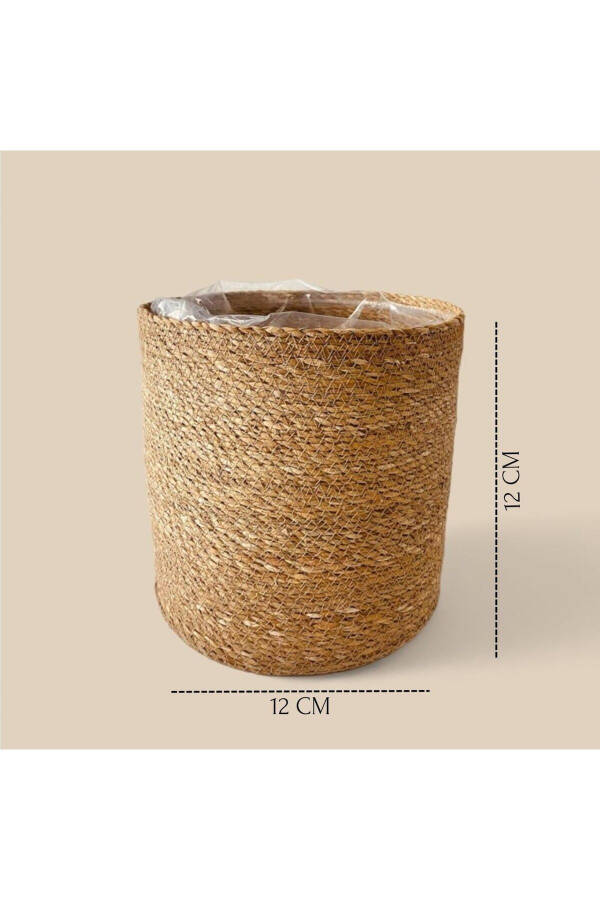 Wicker Round 12 Cm Cactus Pot with Nylon Lining - 4