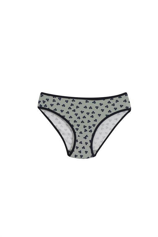 Women's 3 Piece Panties 40245 - 4