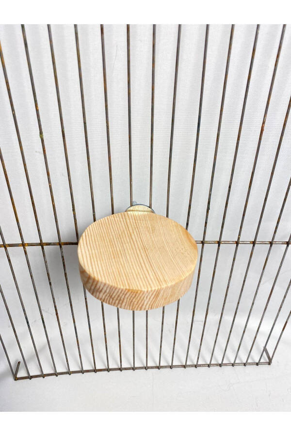 Wooden Slice Bird Perch - 2