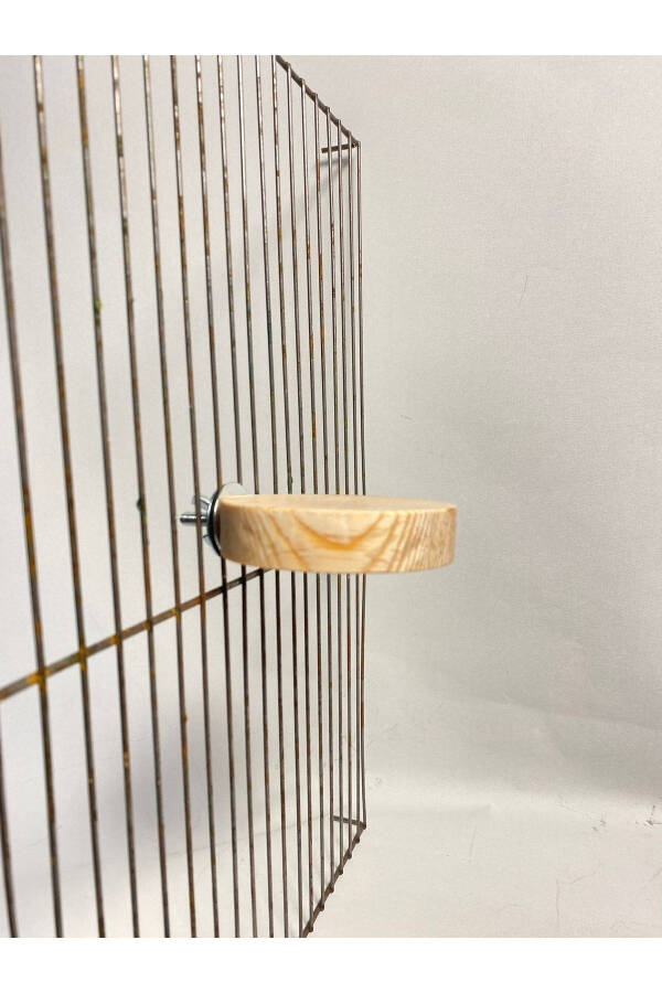 Wooden Slice Bird Perch - 3