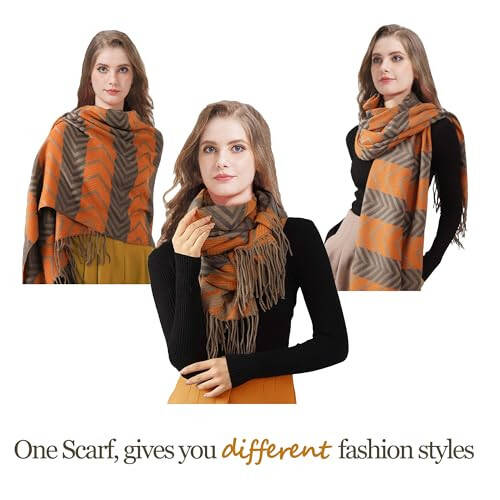 Zion Praiser Women's Winter Scarf Fashion Pashmina Shawls and Wraps Soft Warm Long Large Scarf - 4